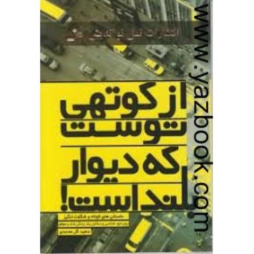 از کوتهی توست که دیوار بلند است-گل محمدی