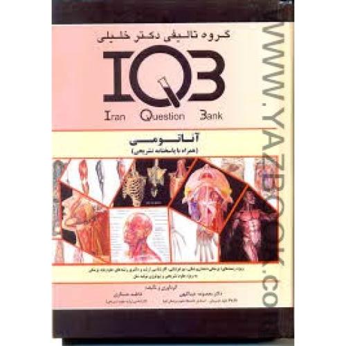 IQB آناتومی