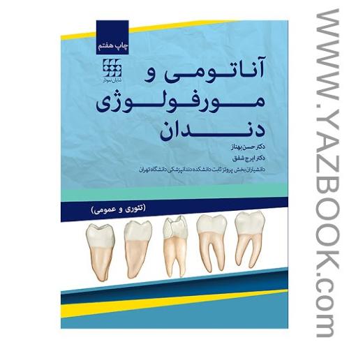 آناتومی و مورفولوژی دندان-بهناز