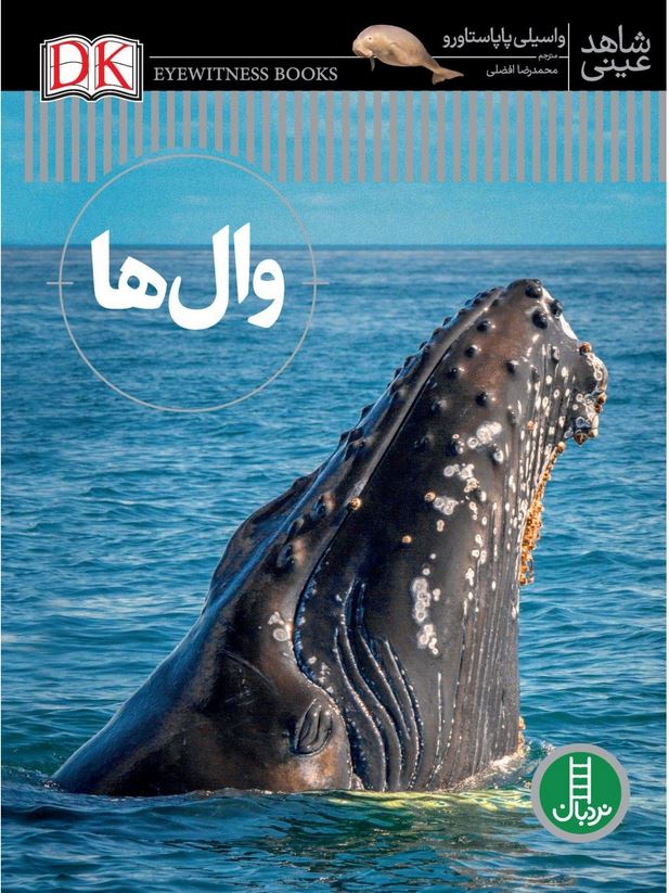 شاهد عینی(وال ها)