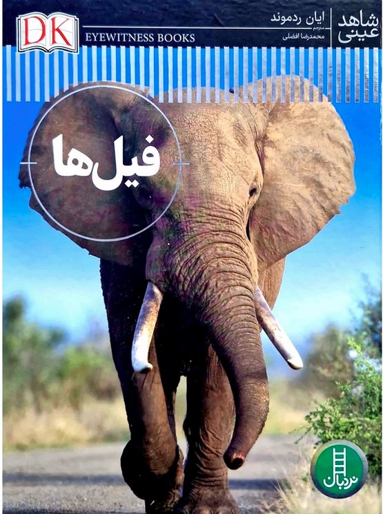 شاهد عینی(فیل ها)