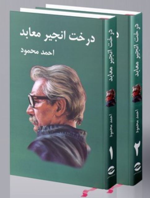 درخت انجیر معابد 2جلدی