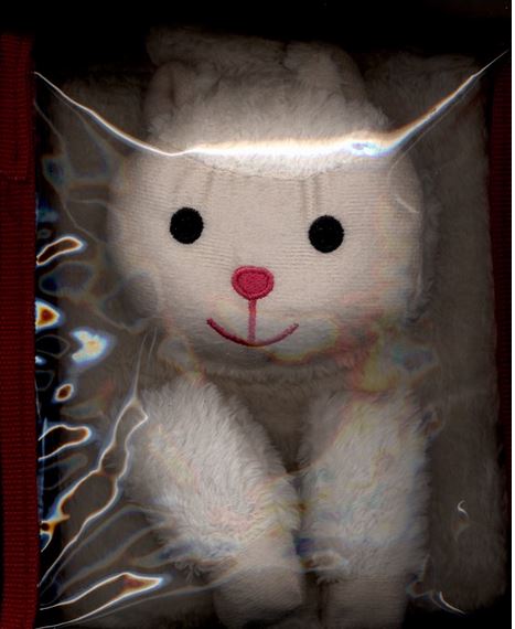 کتاب عروسکی(بره مامانش رو می خواد)