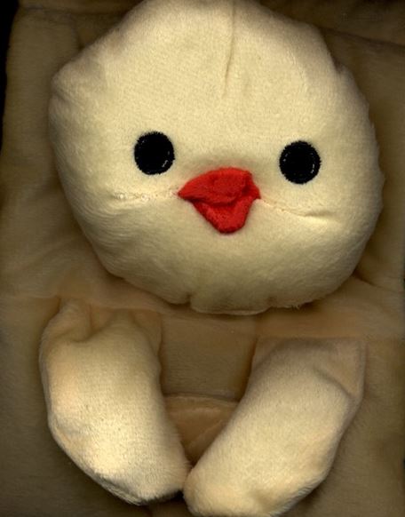 کتاب عروسکی(جوجه کوچولو غذا می خواد)