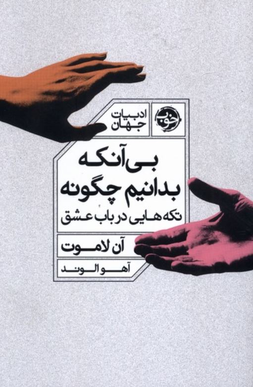 بی آنکه بدانیم چگونه(تکه هایی در باب عشق)