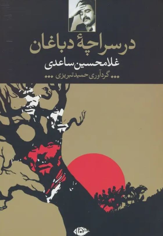 در سراچه دباغان