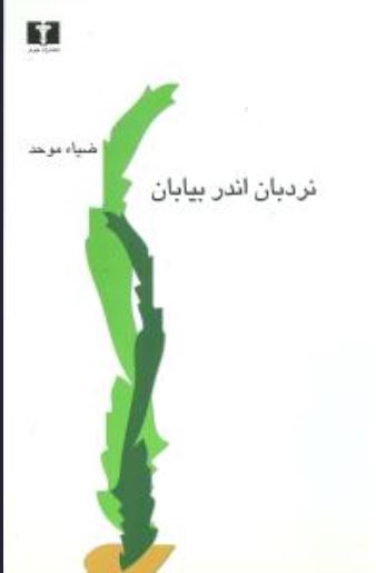 نردبان اندر بیابان