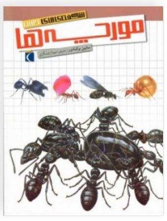 شگفتی های جهان (مورچه ها)
