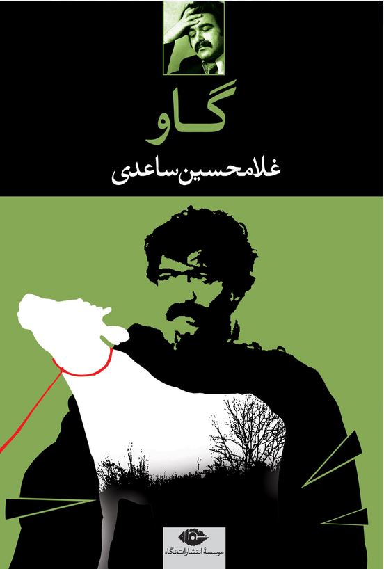گاو
