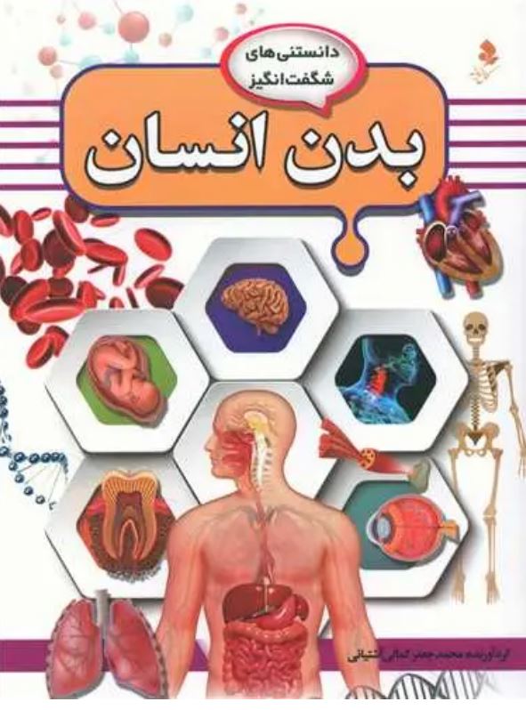 دانستنی های شگفت انگیز بدن انسان