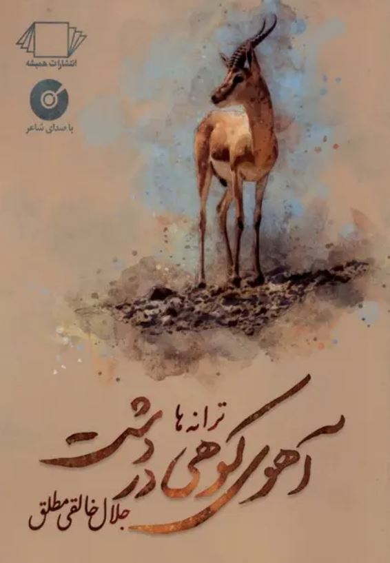 آهوی کوهی در دشت