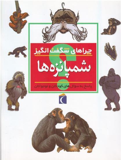 چراهای شگفت انگیز (شامپانزه ها)