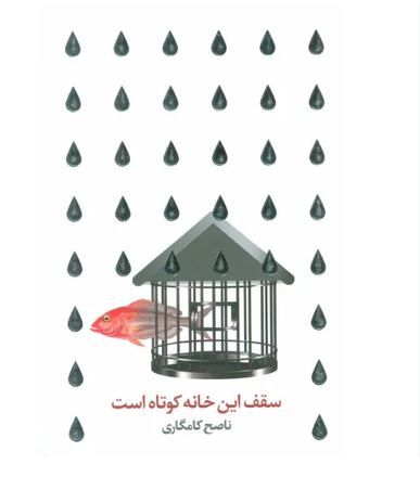 سقف این خانه کوتاه است